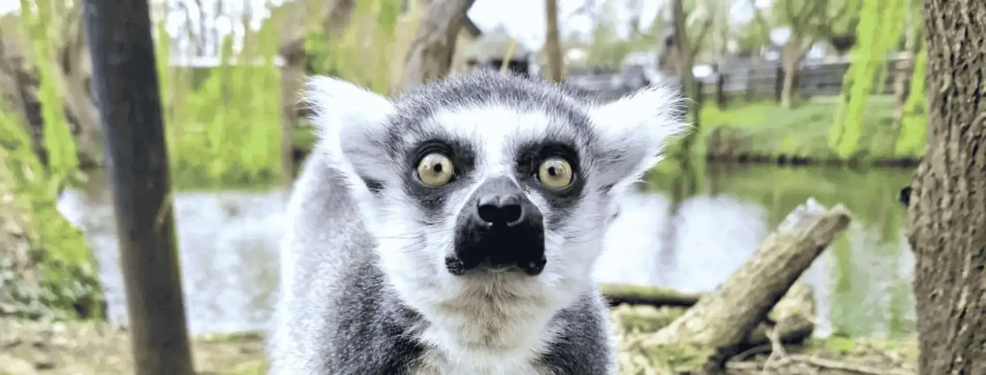 Shepreth Wildlife Park