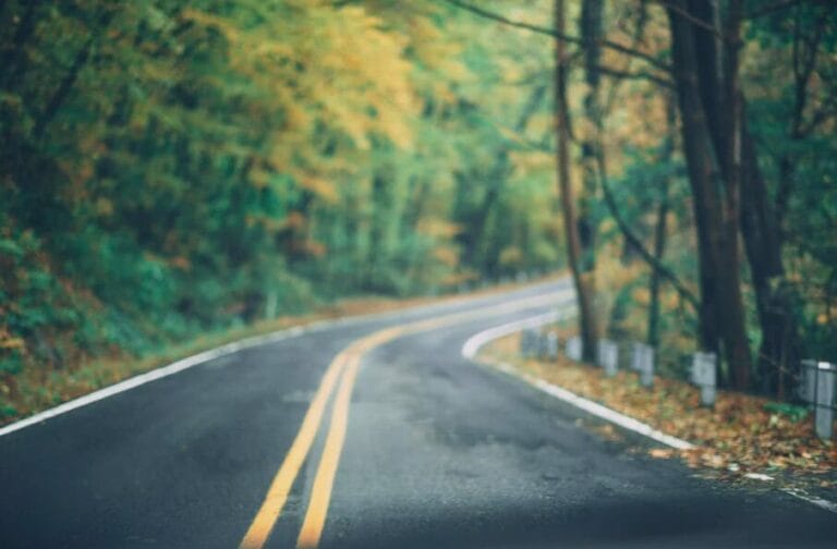 autumnal image of a bending road