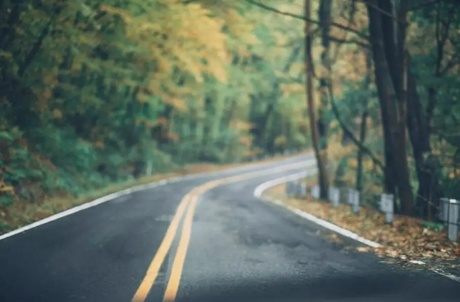 autumnal image of a bending road