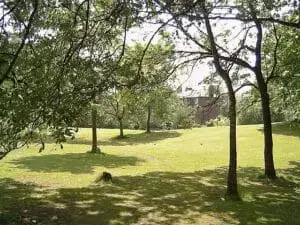 Platt fields park on a sunny day