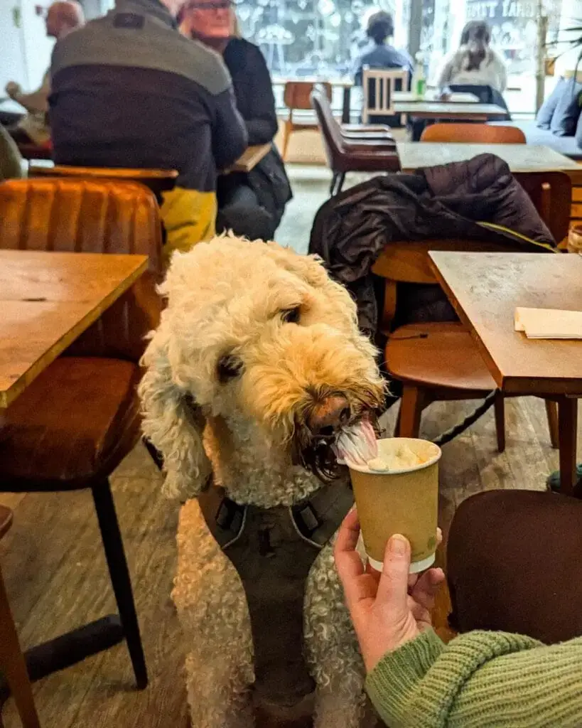 Dundee Espresso Lab