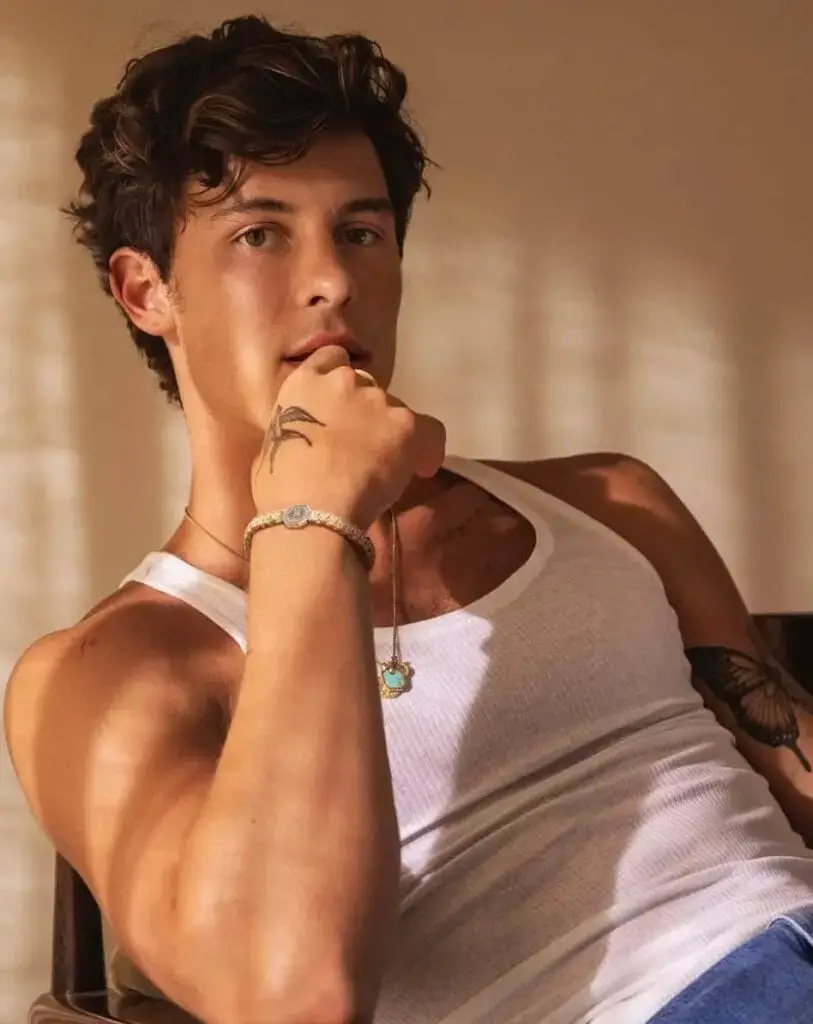 songs turning 10 in 2015 - Shawn Mendes stitches