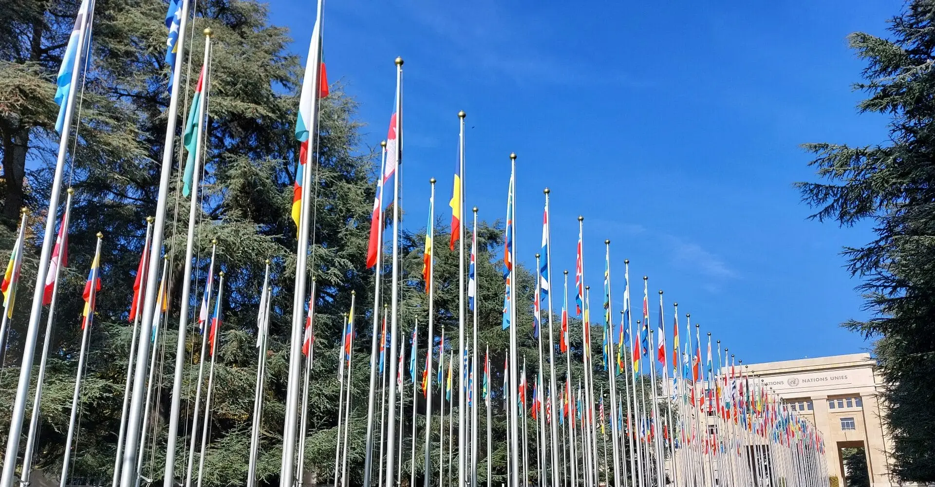 A day the life of an International Relations student