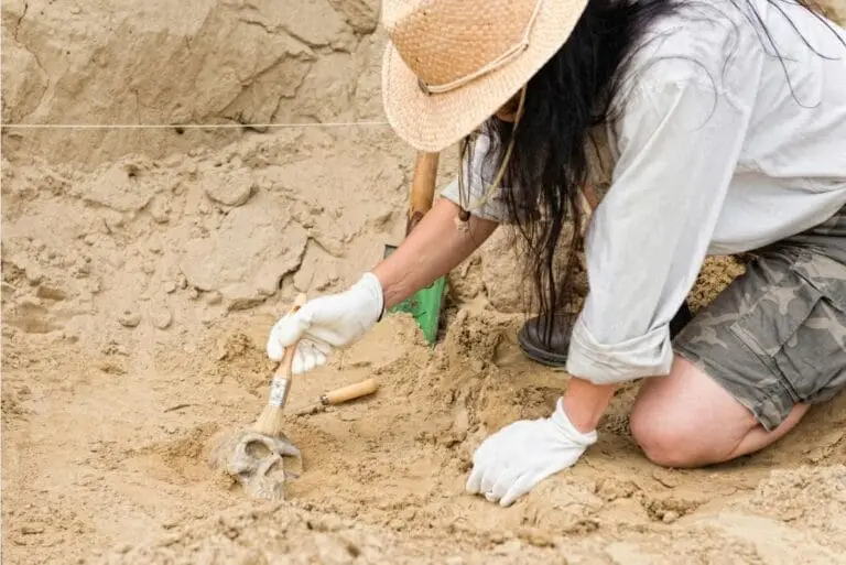 Day in the life of an archaeology student