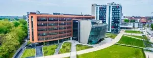 De Montfort university