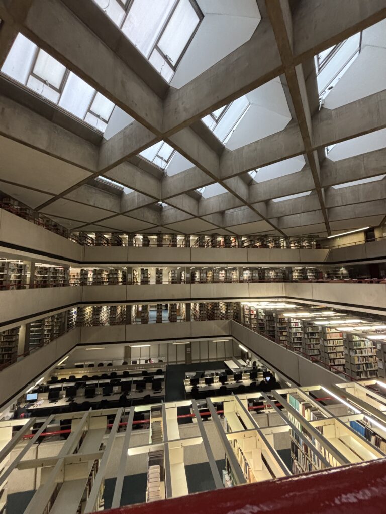 Independent studying in the library is a part of a typical day at university