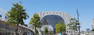 studying abroad in Rotterdam