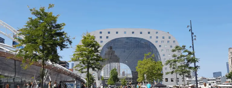 studying abroad in Rotterdam