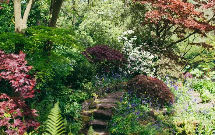 best green spaces and parks for students birmingham