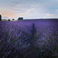 the top places to visit near cambridge