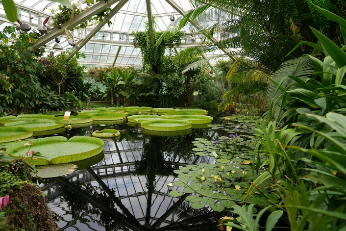 best green spaces and parks for students in birmingham