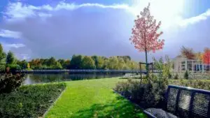Best green spaces and parks for students in Birmingham