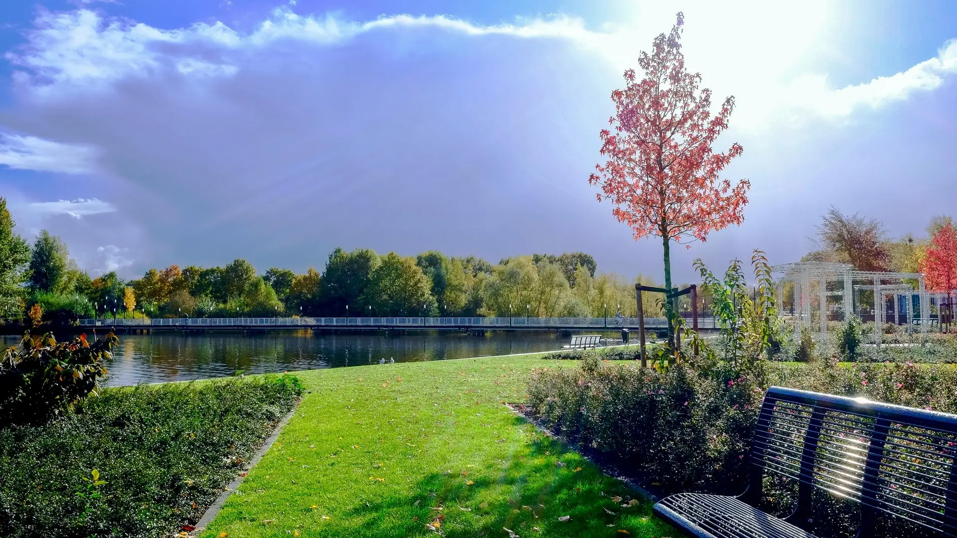 Best green spaces and parks for students in Birmingham