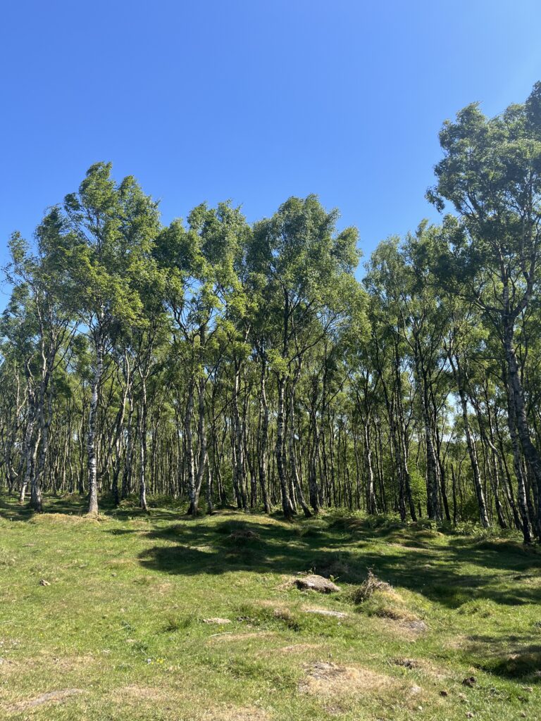 walks near Sheffield