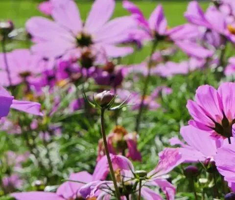 15 things to do in Leicester for under £10