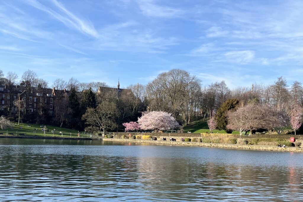 Crookes Valley Park, Sheffield