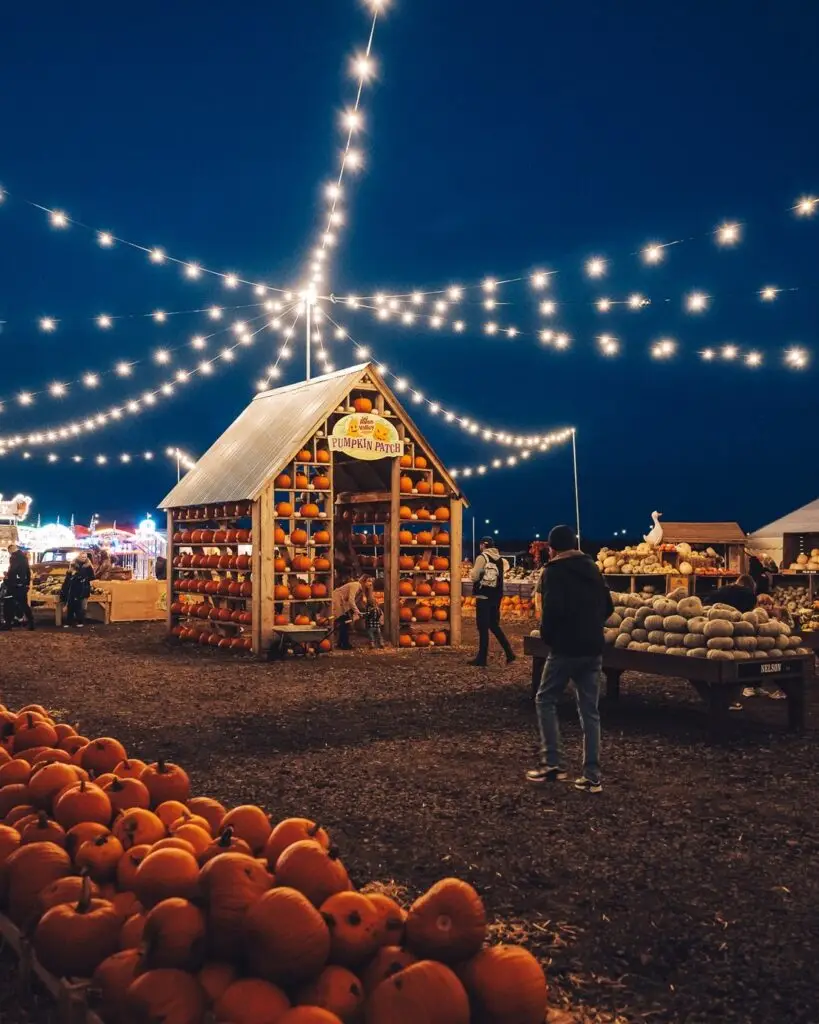 Avon Valley Pumpkin Patch 