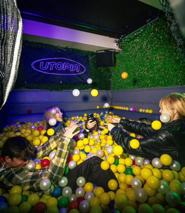 Brass Pig Bristol Ball Pit
