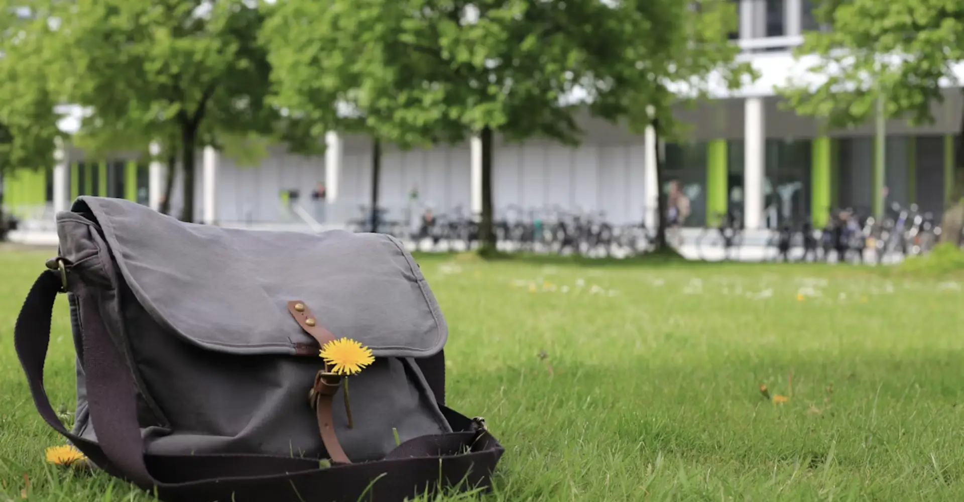 What should I bring to a uni lecture?