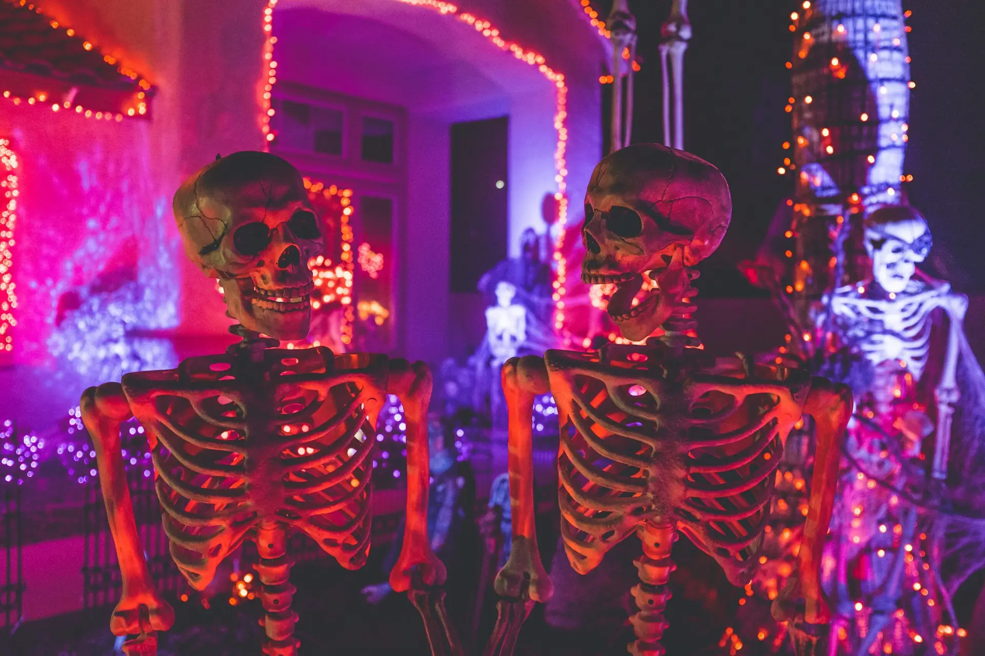 Two skeletons smiling at each other