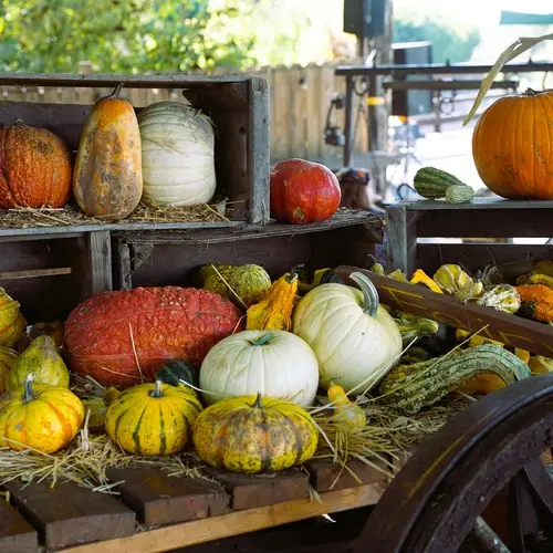 best halloween events for students in birmingham