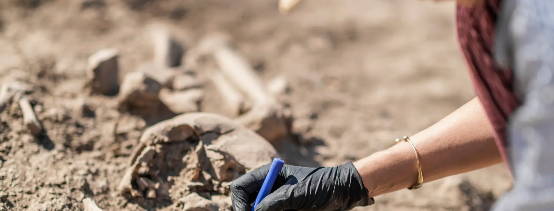 How to get work experience in anthropology