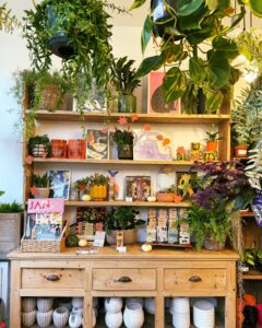 Plant shelf Spouts of Bristol