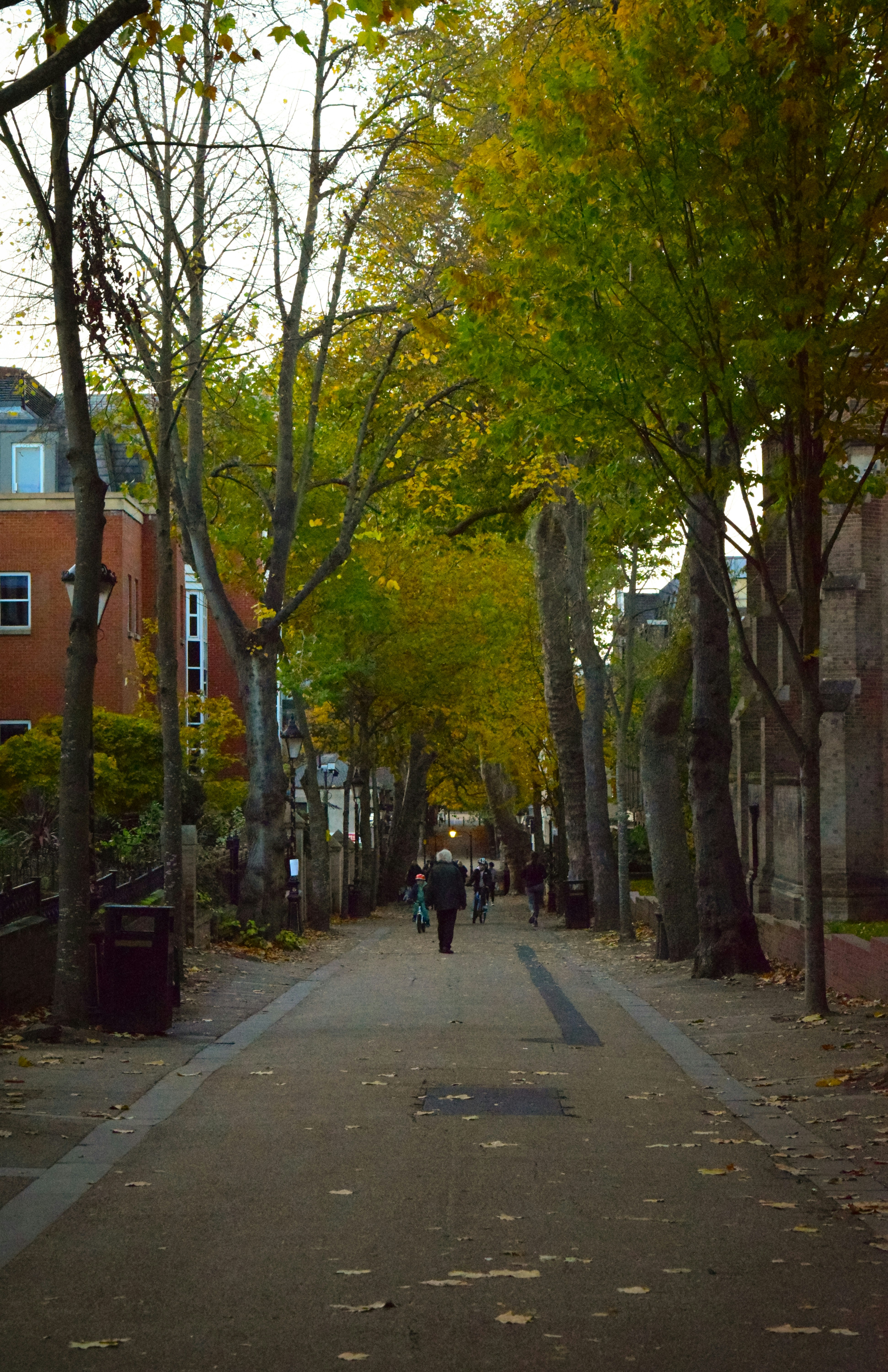 Street near one of the universities in Leicester, used by students and some letting agencies rent out flats here