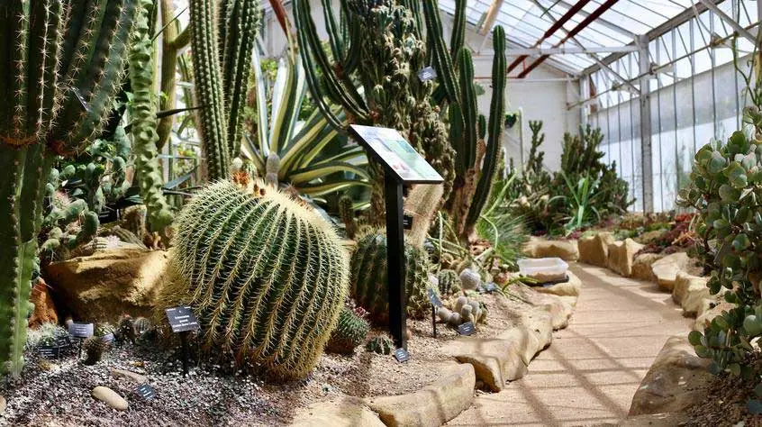 Leicester outdoor guide