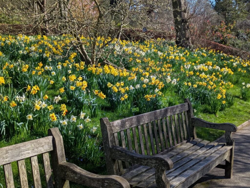 best activities for students in Birmingham best activities for students in birmingham