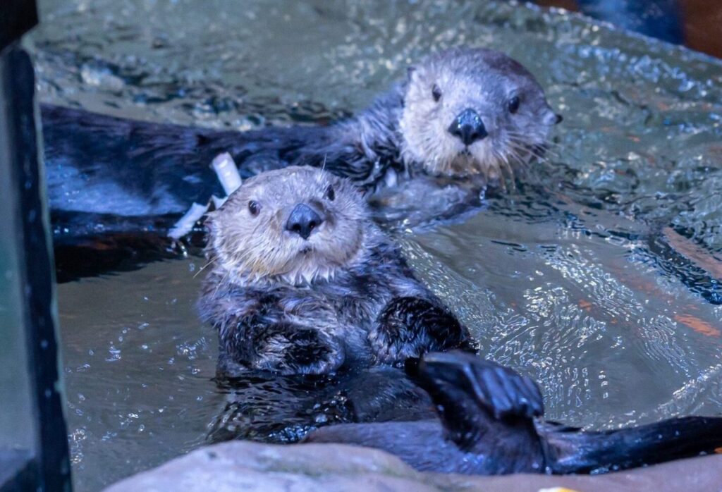 best activities in birmingham for students best activities in birmingham for students