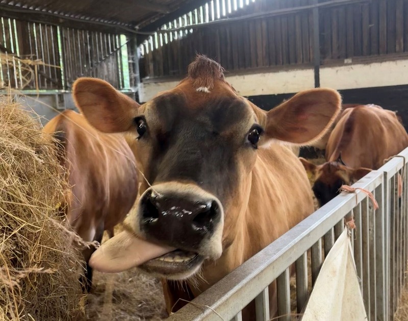 top free things to do in birmingham top free things to do in birmingham