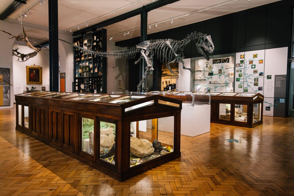 top free things to do in birmingham top free things to do in Birmingham