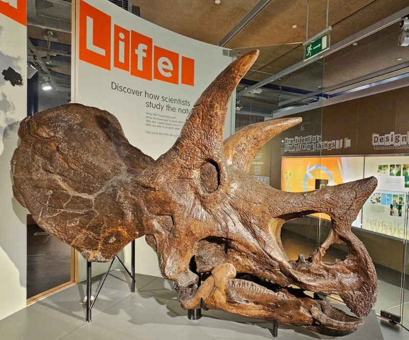 top free things to do in birmingham top free things to do in birmingham