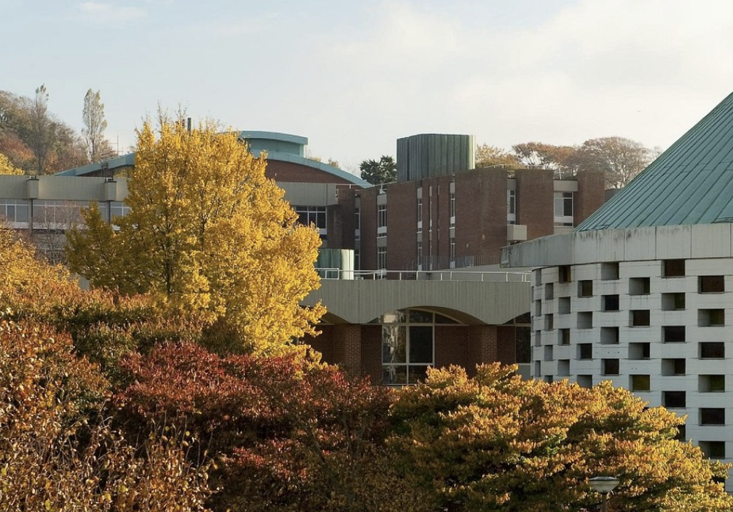 University of Sussex