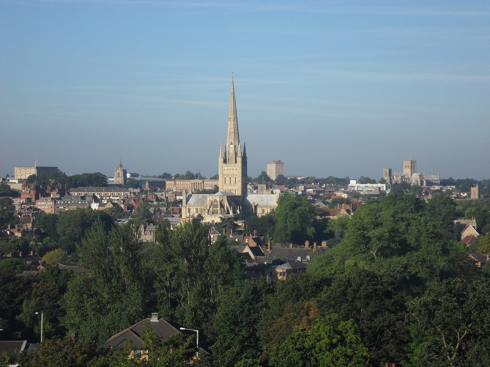 Norwich skyline with the cathedral spire rising above the trees