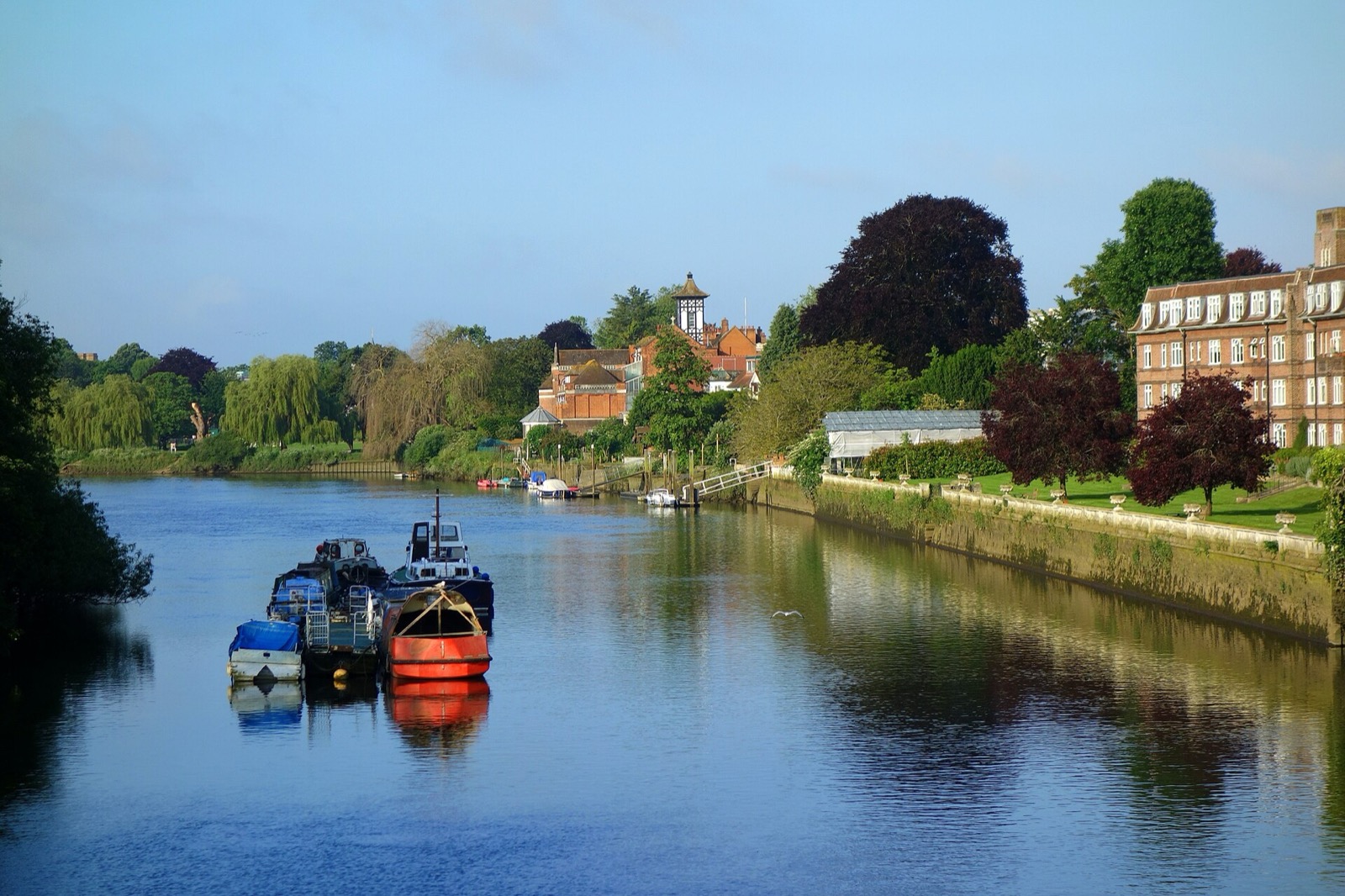 The River Thames at Twickenham with boats moored by the riverside on a sunny evening