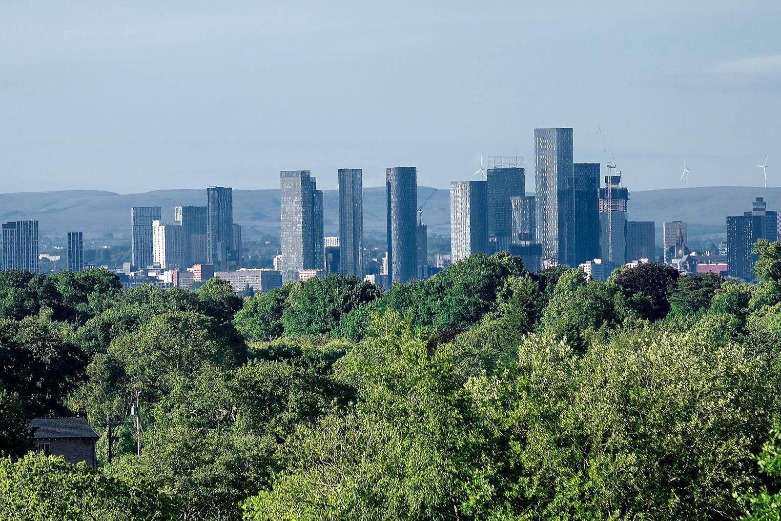 Manchester city centre skyline above the trees