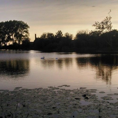 5 wild swimming spots near Manchester you have to try!