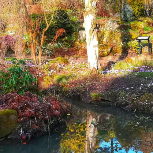best parks in manchester