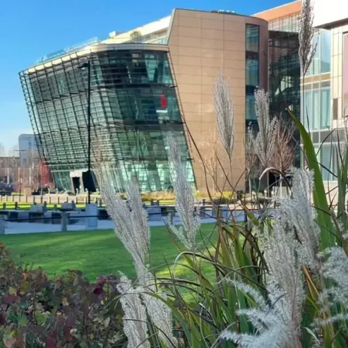 de montfort university