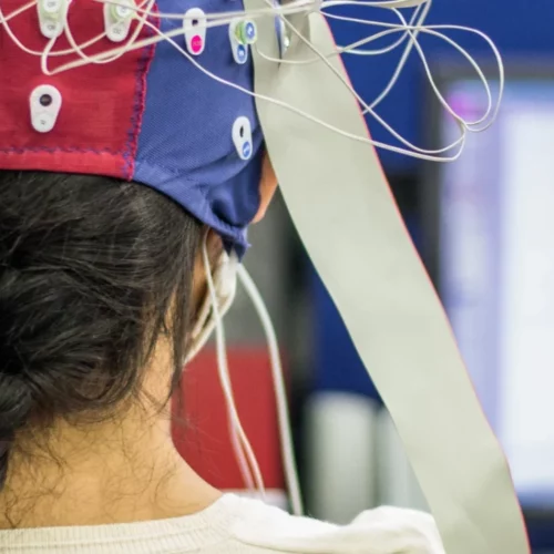 A day in the life of a neuroscience student