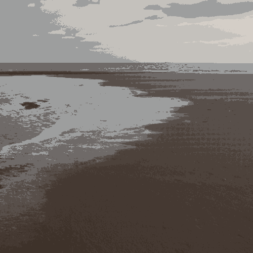 Tentsmuir Forest - free things to do in Dundee