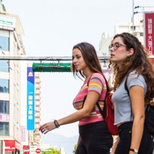 pros and cons of studying abroad source canva