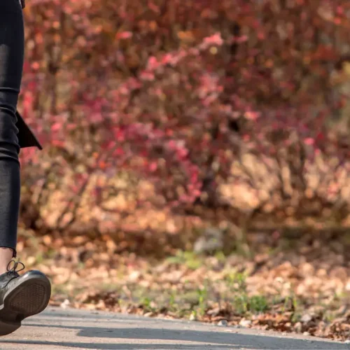 top activities in Autumn in Durham