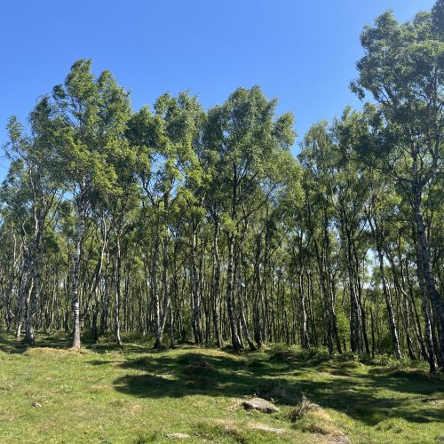 walks near Sheffield