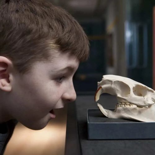 Must-see museums in Manchester