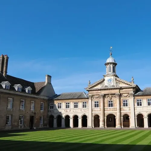 The most common universities and degrees among the rich and the famous revealed