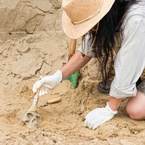 Day in the life of an archaeology student