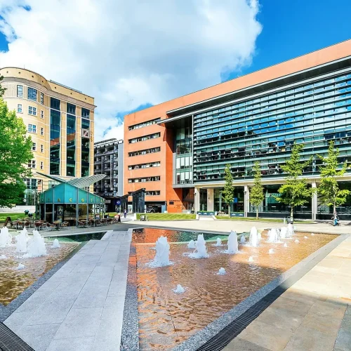 University of Birmingham biggest univeristies in the UK